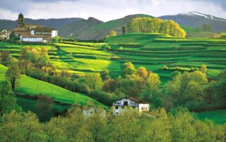Se incrementa la construcción de obra nueva en Navarra