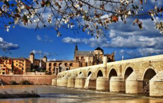 Opiniones sobre la inmobiliaria Belacor en Córdoba