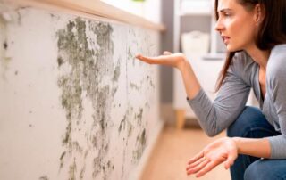 Los vicios ocultos en la vivienda