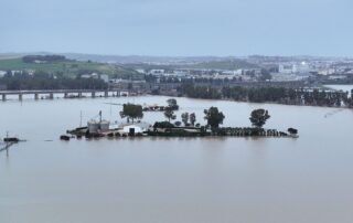 El temporal en ndalucía deja millones de pérdidas