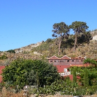 CASA RURAL Y FINCA SANTO DOMINGO -LA GUANCHA-TENERIFE-CANARY