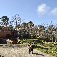 Casa ideal para amantes de la naturaleza