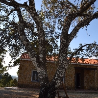 Vendo casa de piedra nueva en La Sierra de Tentudía.