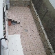 PATIO TRASERO 22 MTS2 APROX.