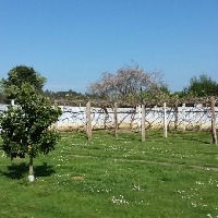 Fin de semana en finca urbana de 1850 m2