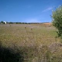 Se vende Finca Rustica 