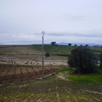 La Torre de Esteban Hambran