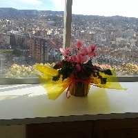 Esplendido y luminoso piso en la Devesa