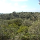 vistas