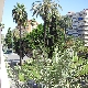 Vistas plaza