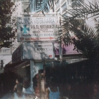 LOCAL/BAJO/VIVIENDA EN AVENIDA MEDITERRÁNEO 25, BENIDORM