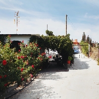 Se vende Finca Rústica