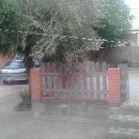 caa circa rio ebro deltebre