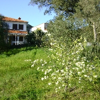 Preciosa casa/chalet en el campo