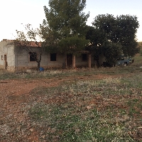 Vivienda rústica en parcela de 1000 metros