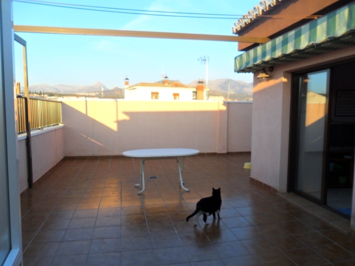 Terraza