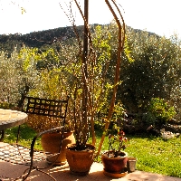 Chalet unifamiliar en Valldemossa