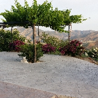 FINCA CON CASA