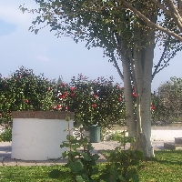 Casa chalet