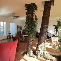Casa situada en bosque de 300 m2 Villafranca Malloca