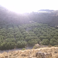 Venta finca rustica con cortijo