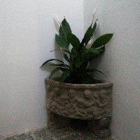 Apartamento  Solano