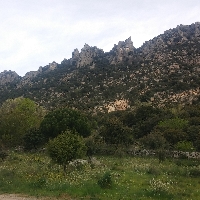 PARCELA EN LA CABRERA