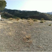 VENTA DE SOLAR URBANO BENAMOCARRA