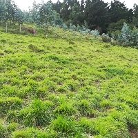 terreno irusta bidea