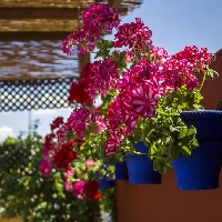 VENTA DE CASA SEÑORIAL EN LA JUDERÍA