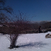 Parcela en Robledondo. Santa María de la Alameda