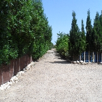 Terreno en venta en Sanlúcar de Barrameda