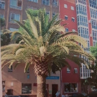 Piso en venta con 3 habitaciones en Huelva