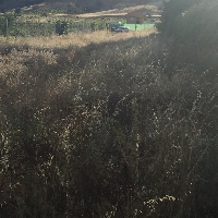 Finca rústica con casa en venta en  El Molar 