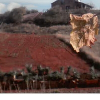 Casa  con terreno en venta en Ayllón Segovia