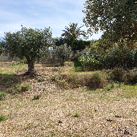 Parcela en Urb. Viñas del Rey en Otura (Granada)