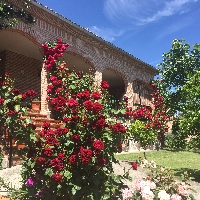 Venta de Finca Rústica en San Martín de Pusa