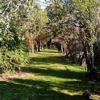 Finca con vivienda en venta en Fregenal de la Sierra