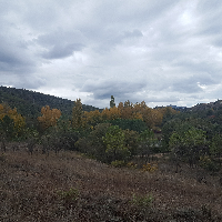 Finca no urbanizable en venta en Venturada