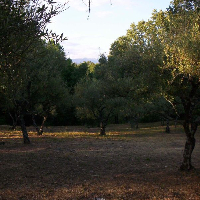 Finca en Polígono Industrial 
