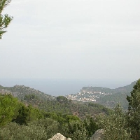 Olivar en venta con vistas en Sóller