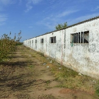 Finca de regadío con nave en venta Puebla de la Calzada