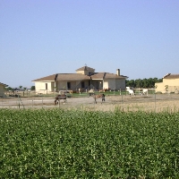 Finca hípica con casa en venta en Arévalo Finca hípica con casa en venta en Arévalo