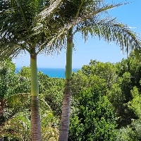 Paraje único con 2 magníficas casas (cl) Paraje único con 2 magníficas casas (cl)