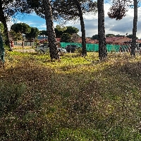 Terreno urbano edificable en venta en Traspinedo