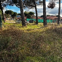 Parcela en venta para construir en Traspinedo. 