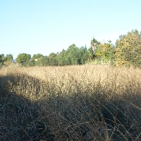 plot en Els Poblets plot en Els Poblets