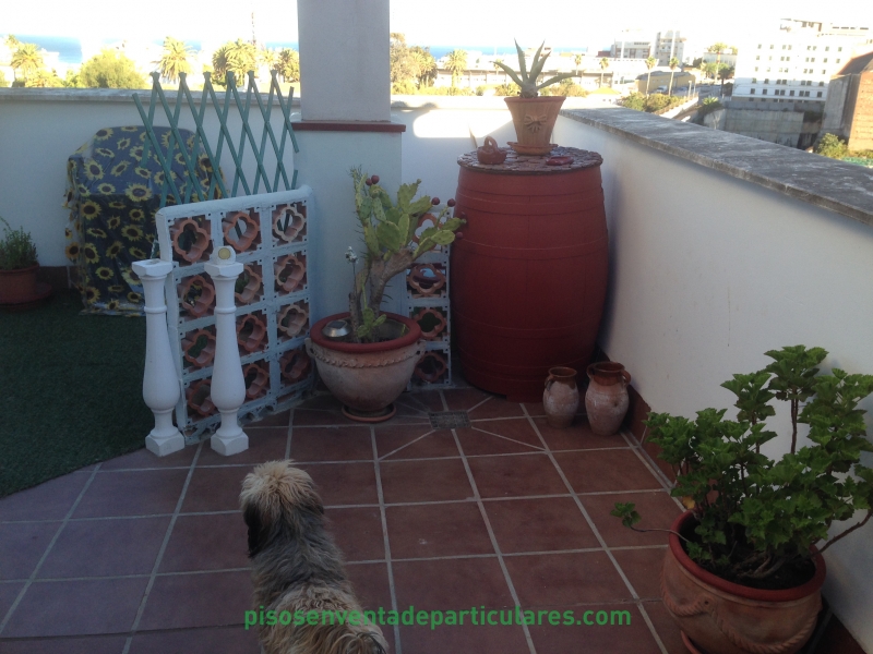 Terraza