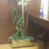 Vivienda en venta de 200m2  Plaza De Compostela  en Vigo