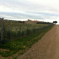 venta de residencia canina en badajoz